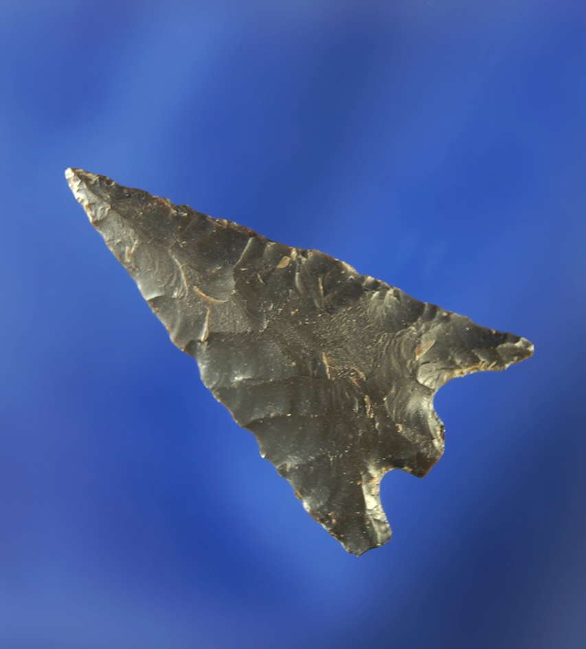 1 3/16" Columbia Plateau with a snapped base that is nicely flaked.