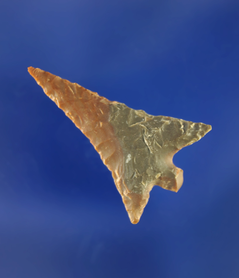 1" Rabbit Island that is well flaked.