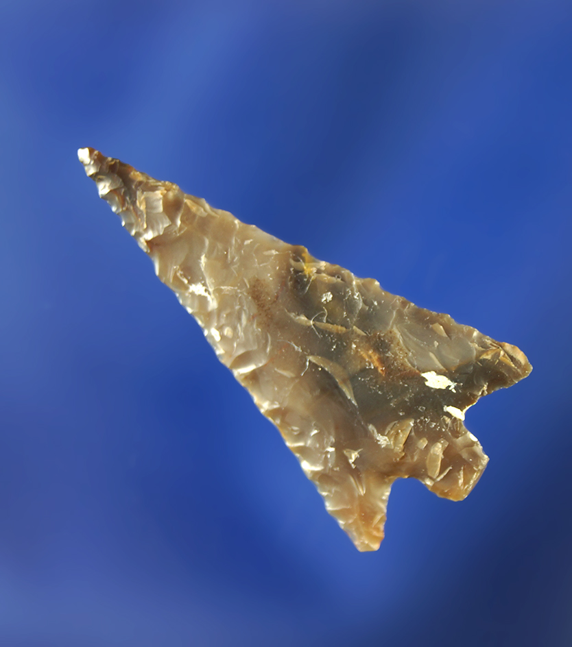 Thin and very well flaked 1 1/4" Rabbit Island made from semi translucent agate.