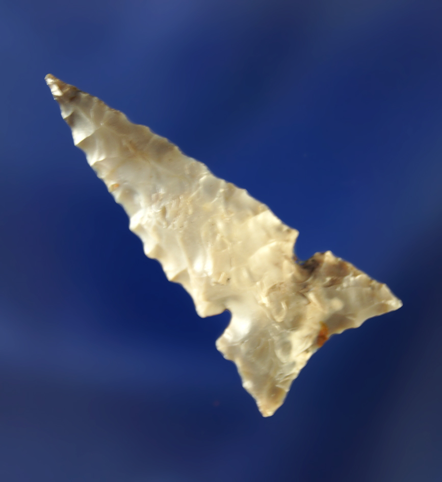 1 1/2" Desert Delta Sidenotch made from uniquely colored material in nice condition.