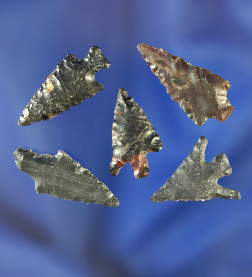 Set of five arrowheads and nice condition, largest is 15/16".