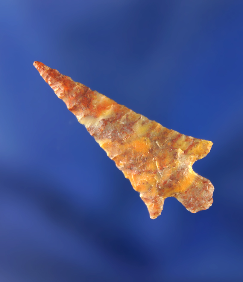 1-  1/16" Wallula Gap Arrow Point made from beautiful variegated Jasper- mid Columbia River.