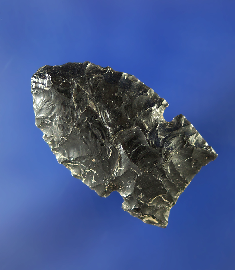 Very Fine! 1 5/16" Obsidian Northern Side Notch that is well flaked and nicely patinated