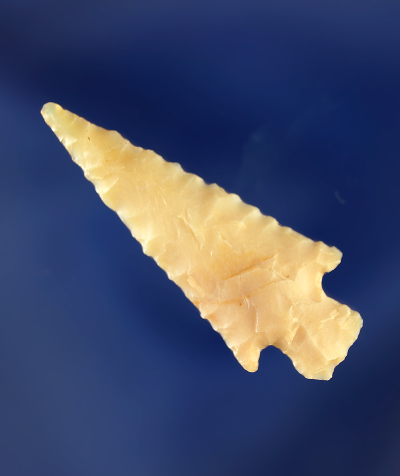 Excellent style and symmetry on this 1 3/8" Rose  Springs.