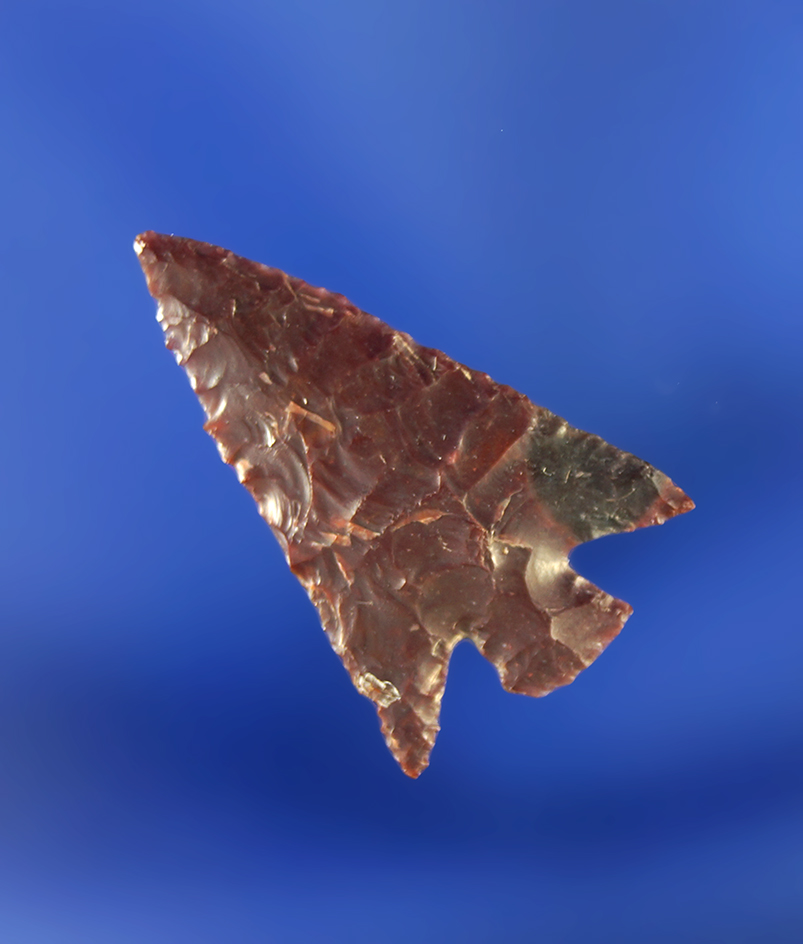 3/4" Columbia Plateau made from Jasper that is very thin and well flaked.