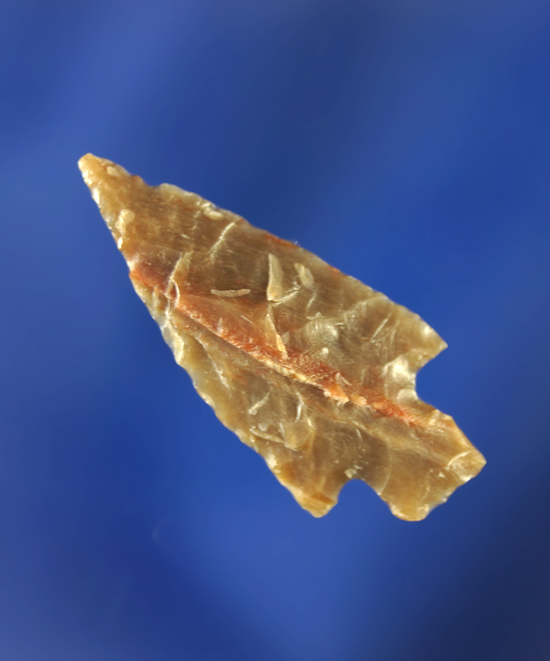 1 1/16" Columbia Plateau made from semi translucent material.