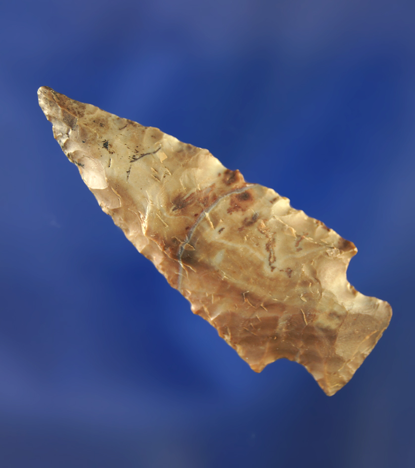 1 3/4" Merrybell made from attractive mottled material.