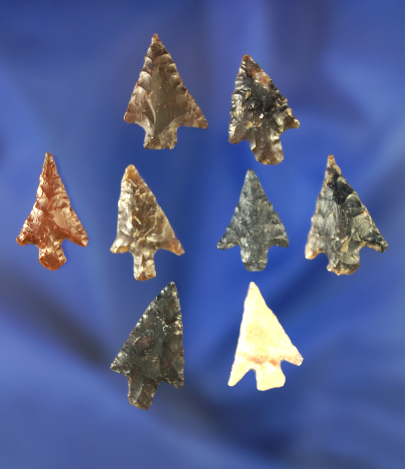 Set of eight assorted Columbia River arrowheads, largest is 15/16".