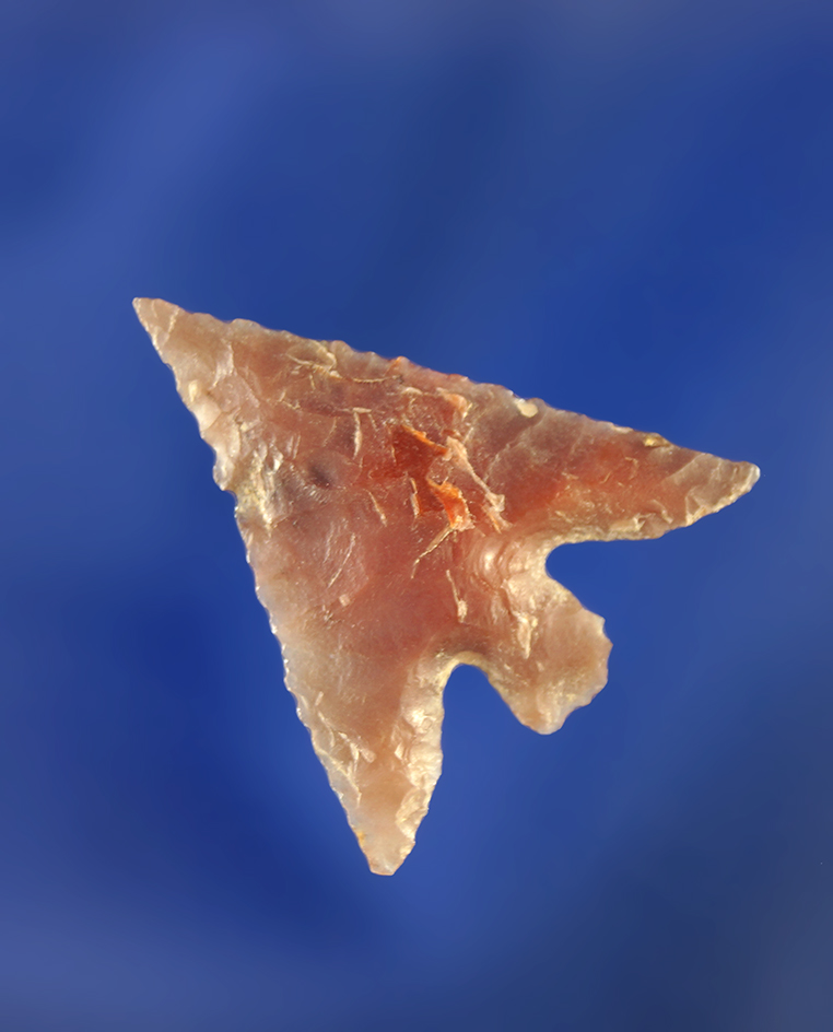 15/16" beautifully styled Columbia Plateau with long swept wings made from high quality material.