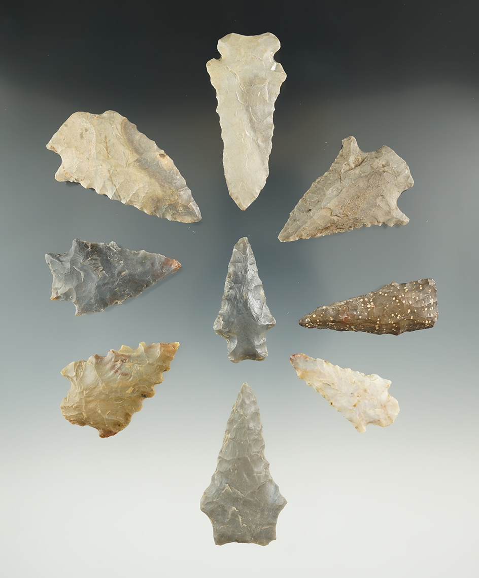 Set of nine assorted points found in Kentucky, largest is 2 3/8". Ex. Henry English collection.