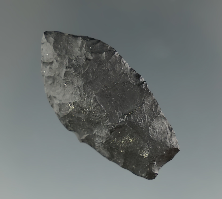 1 7/16" Paleo Spedis made from basalt found near the mid-Columbia River. Pictured!