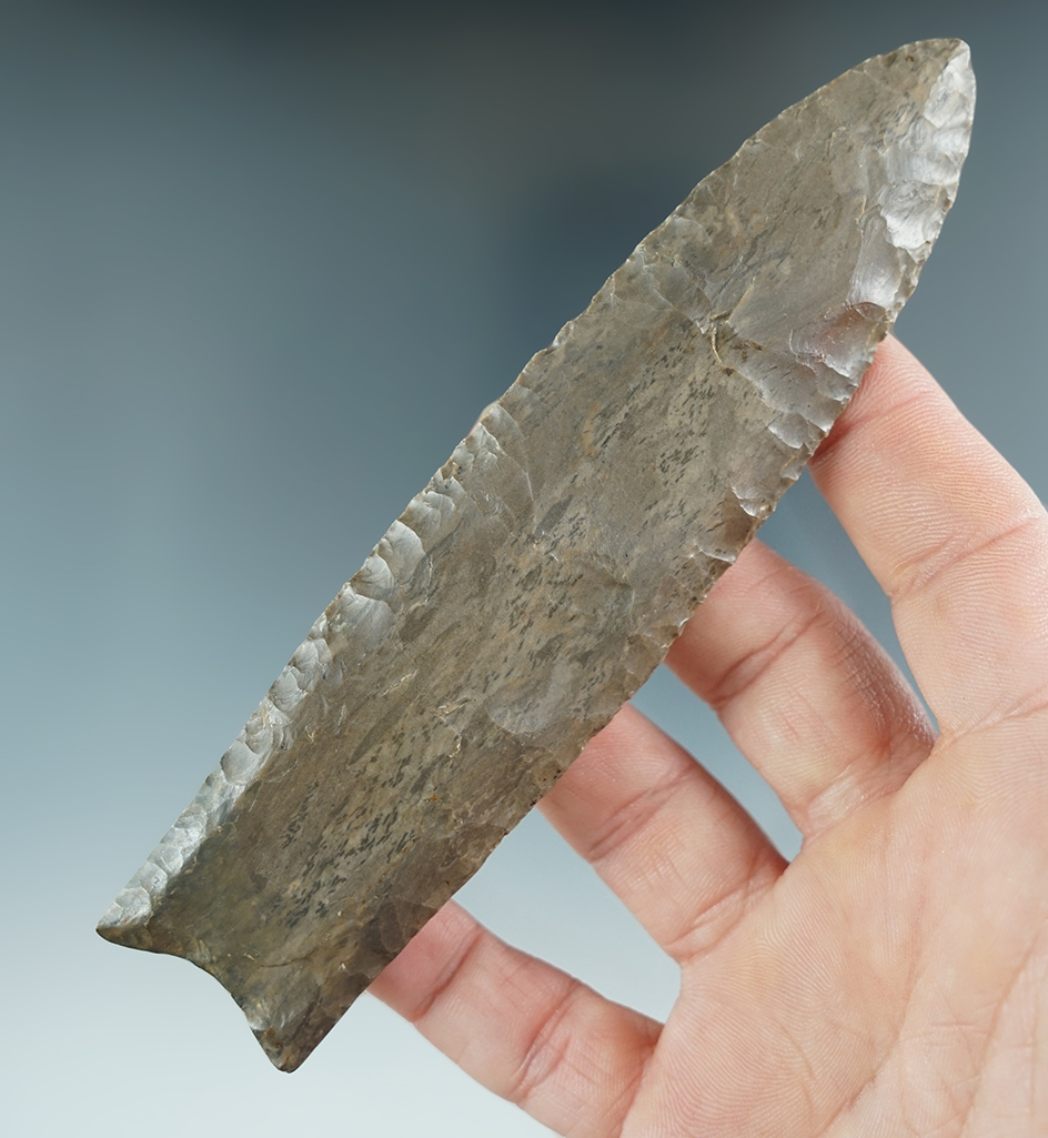Sale Highlight - Large & Nice! 5 5/16" beautiful Dover Flint fluted Paleo Clovis with restoration
