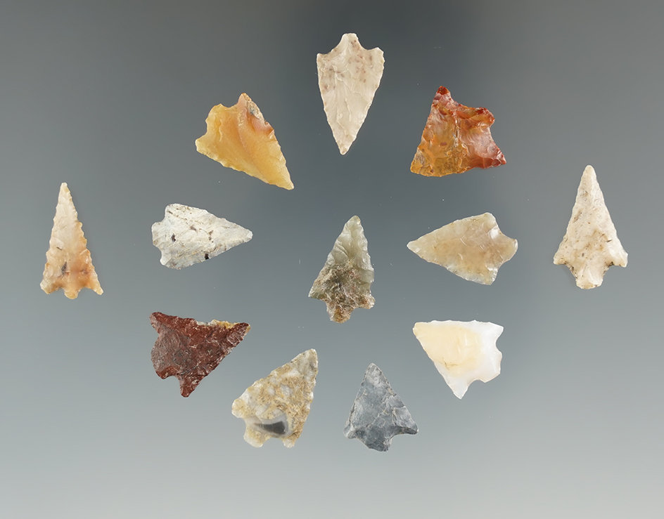 Set of 13 stemmed points found near the Lewis River, Washington. Largest is 3/4".