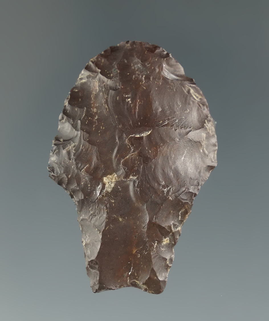 1 3/8" Paleo Spedis fishtail found near the Columbia River, Kennewick, Washington. Pictured!