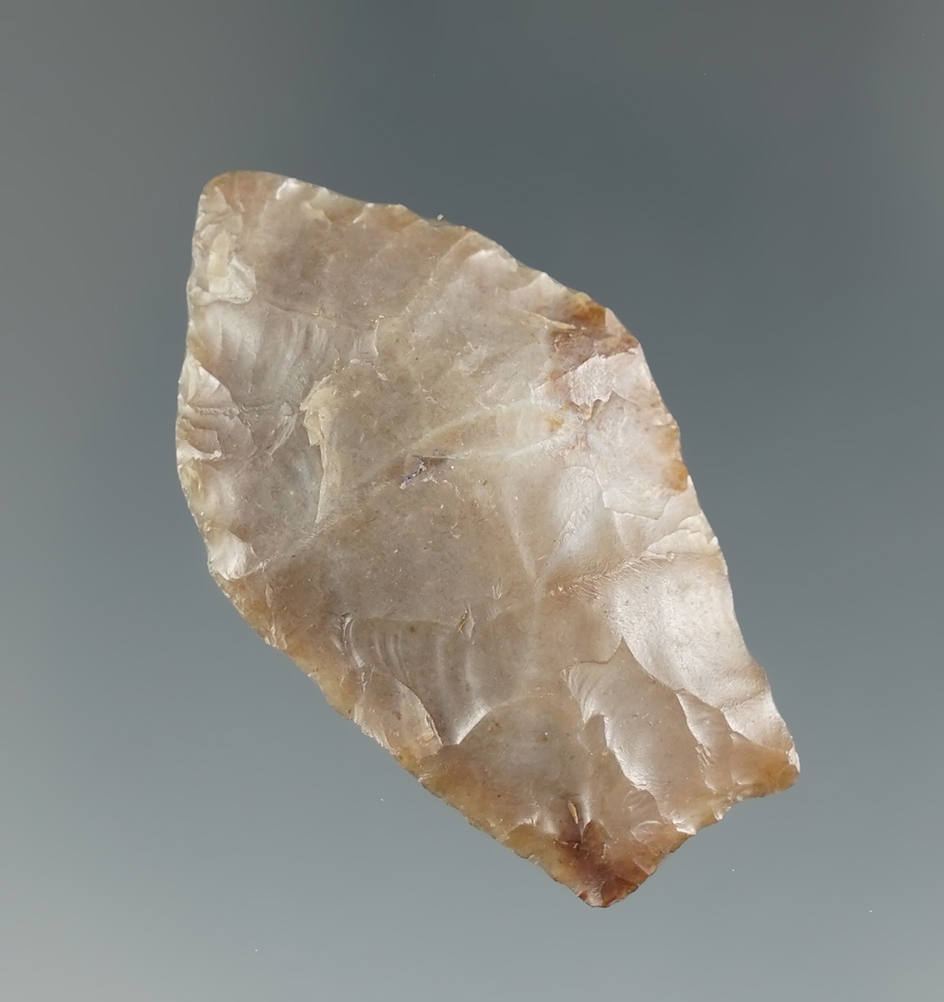 1 9/16" Paleo Spedis fishtail found near the Columbia River, Oregon.  Ex. Jim Hogue.