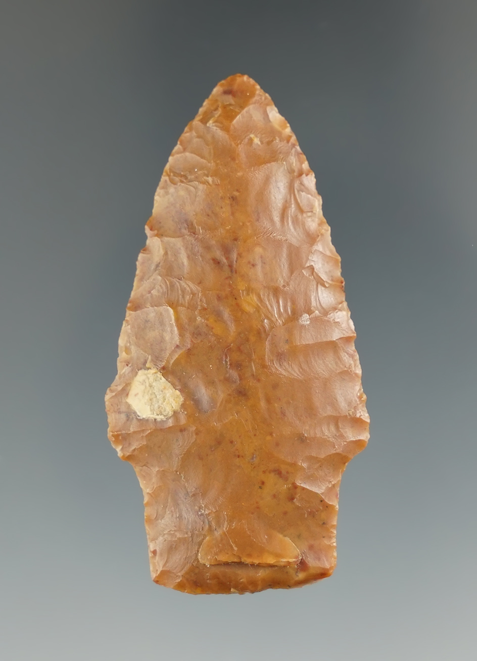 2 1/16" Scottsbluff found near Lake Texoma, Texas. Ex. Mike Bowles. Rogers COA.