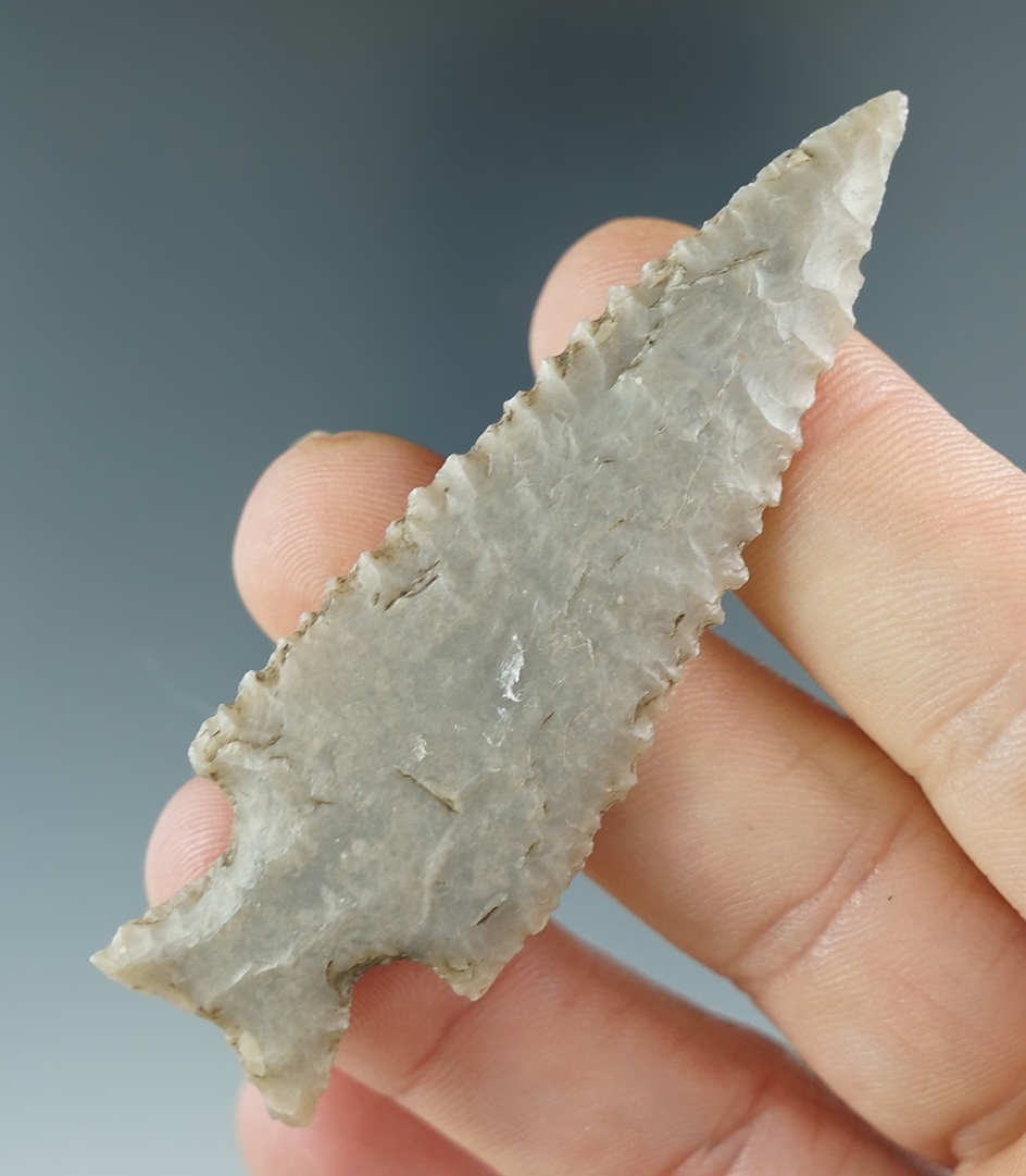 Nice edge serrations on this 2 13/16" point found in Texas.