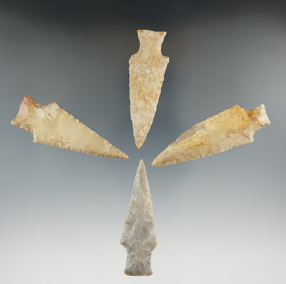 Group of four Darl points found in Texas, largest is 2".