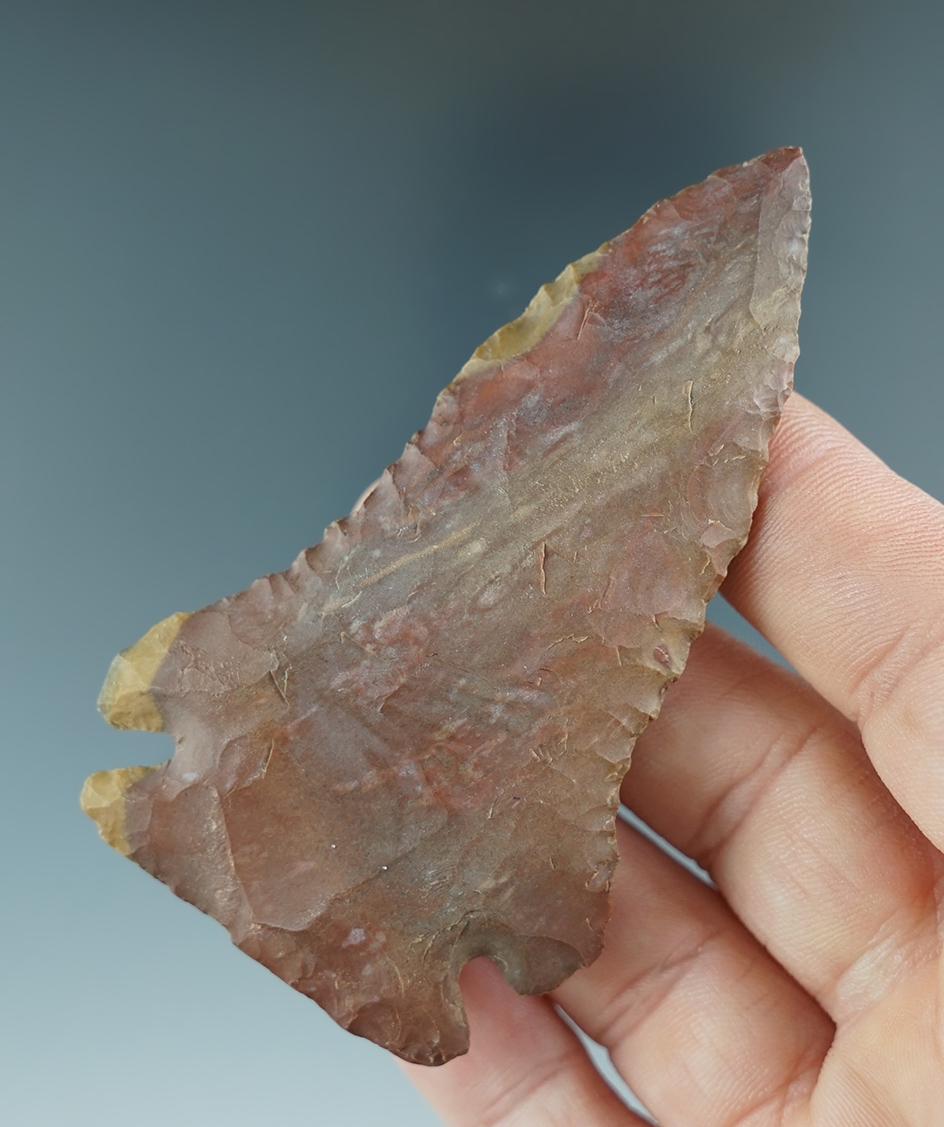 Large and nice! 3 1/8" Pine Tree knife - beautiful Horse Creek chert - Stewart County TN.