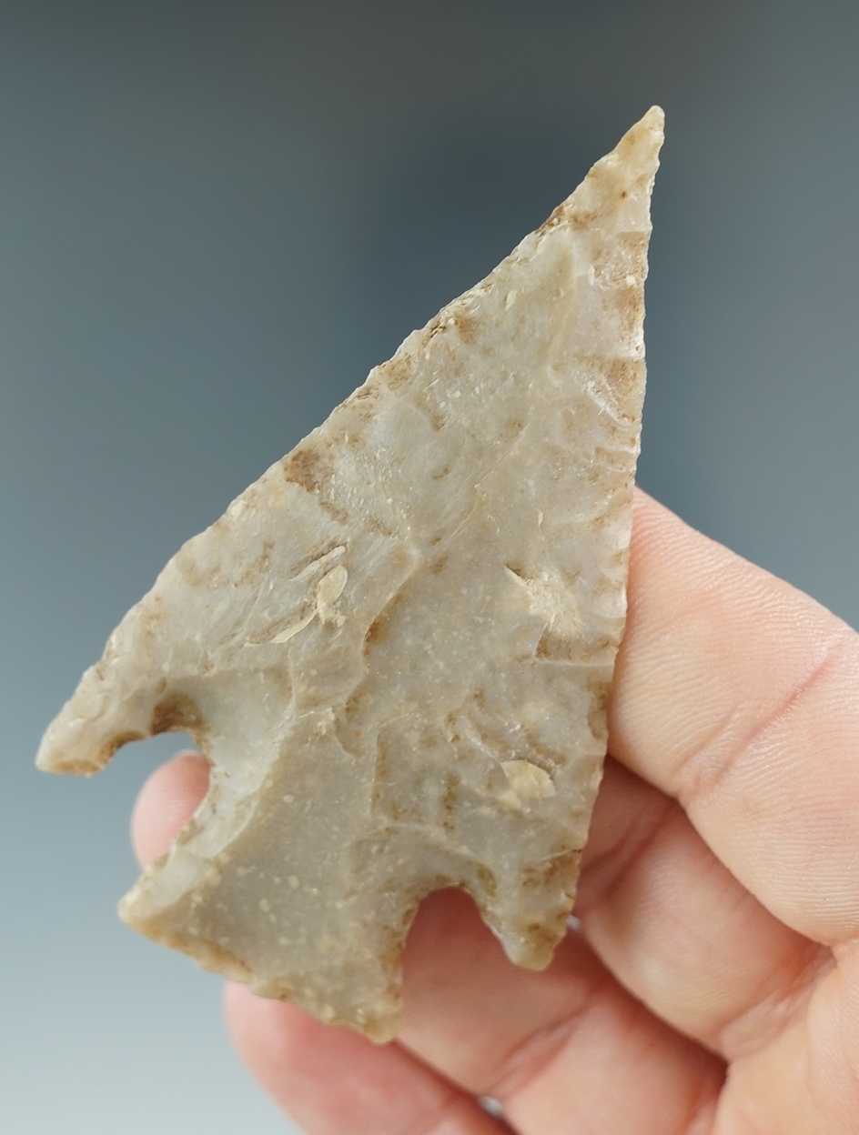 Nice flaking and style on this 3" knife with a well shaped tip found in Texas.