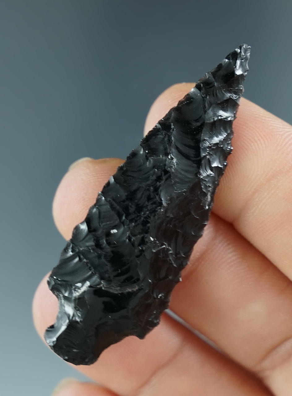 2" Rose spring Sidenotch dart found near Cougar Mountain, Lake County Oregon.