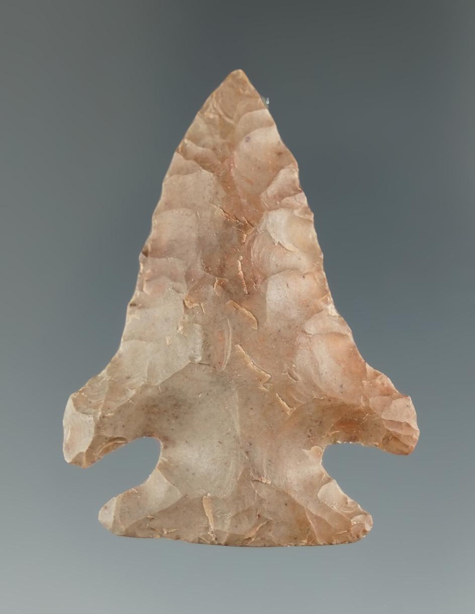 1 13/16" Pine Tree found in Lincoln County Kentucky. Ex. Henry English Collection.