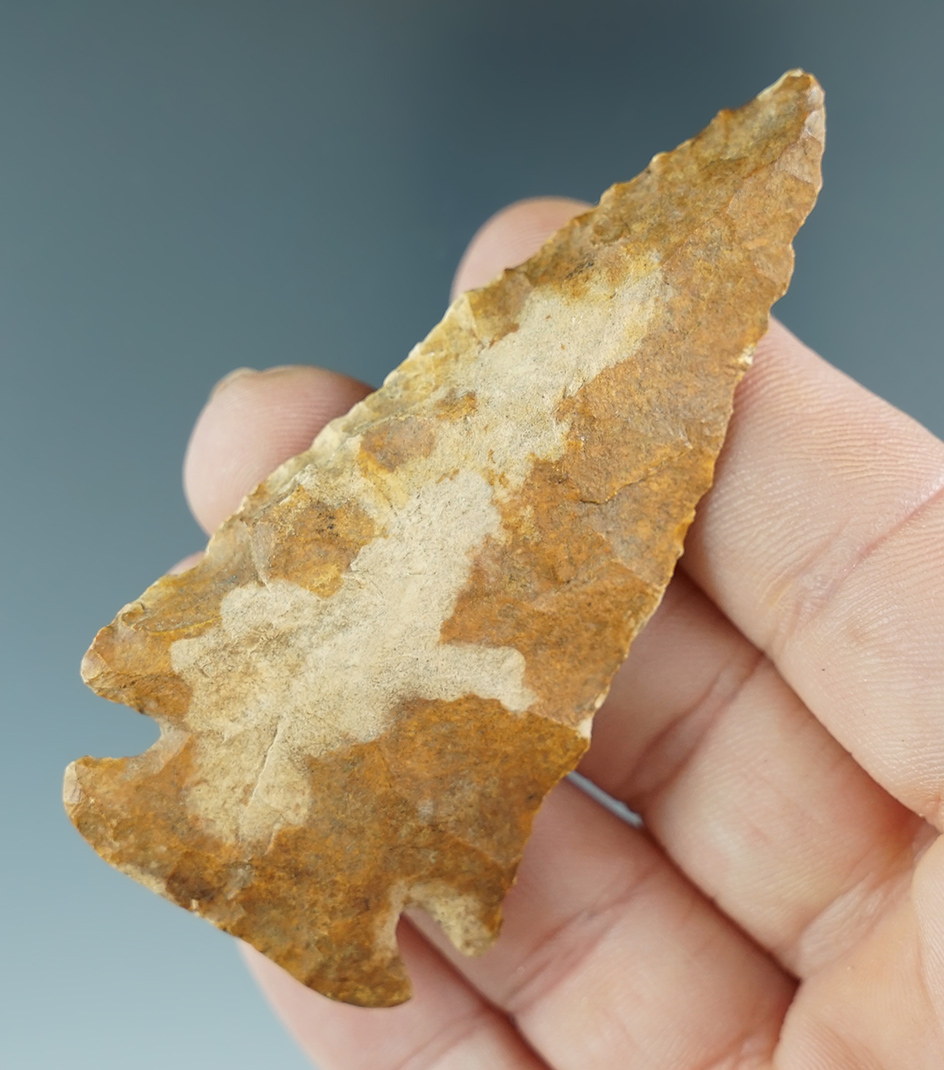 2 3/4" archaic beveled Dovetail that is heavily patinated. Found in Ballard County Kentucky.