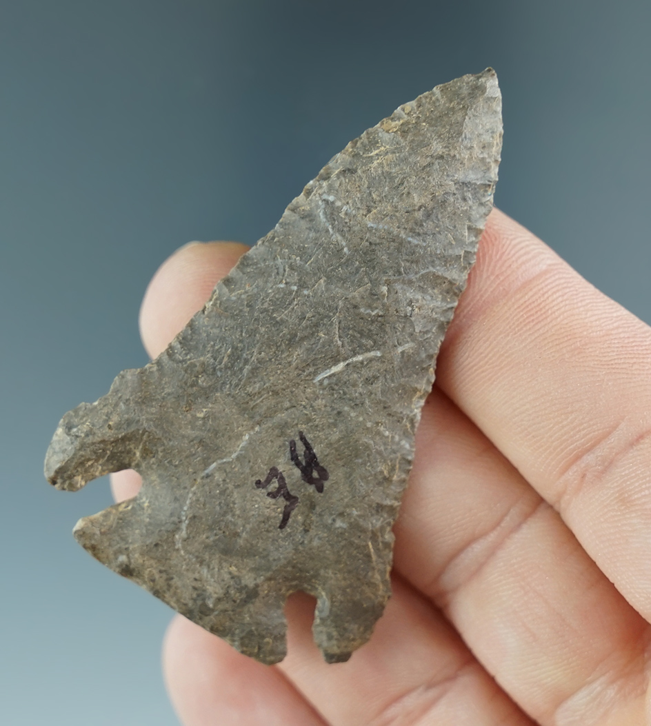 2 3/8" Pine Tree that is nicely styled from Dover Flint found in Decatur County Tennessee.