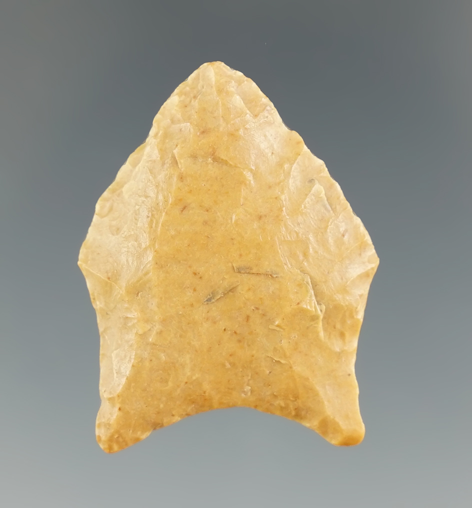 1 3/8" Pelican made from beautifully colored Jasper, found in Jasper Co., Texas Jackson COA.