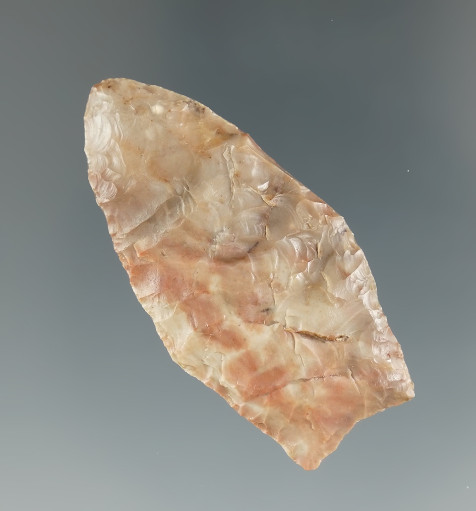 1 7/8" Paleo Spedis fishtail found near the Columbia River, Washington. Pictured!