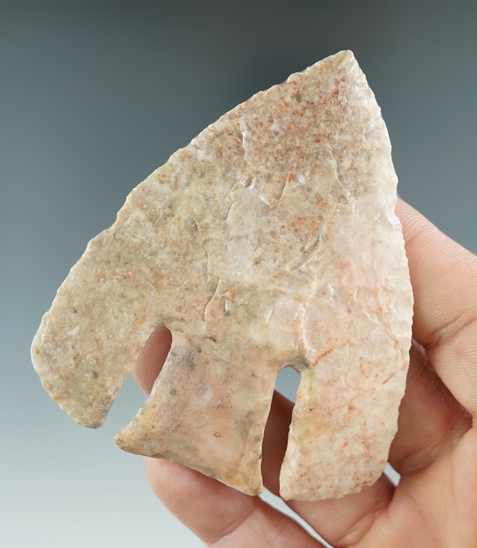 3 1/8" Texas Bell Basal Notch The stem has been restored. Comes with 3 COA's.