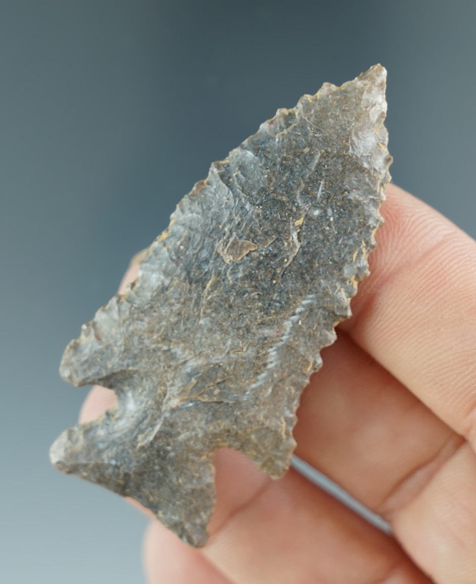 2 1/4" nicely serrated archaic point found in Lincoln County Kentucky. Ex. Henry English