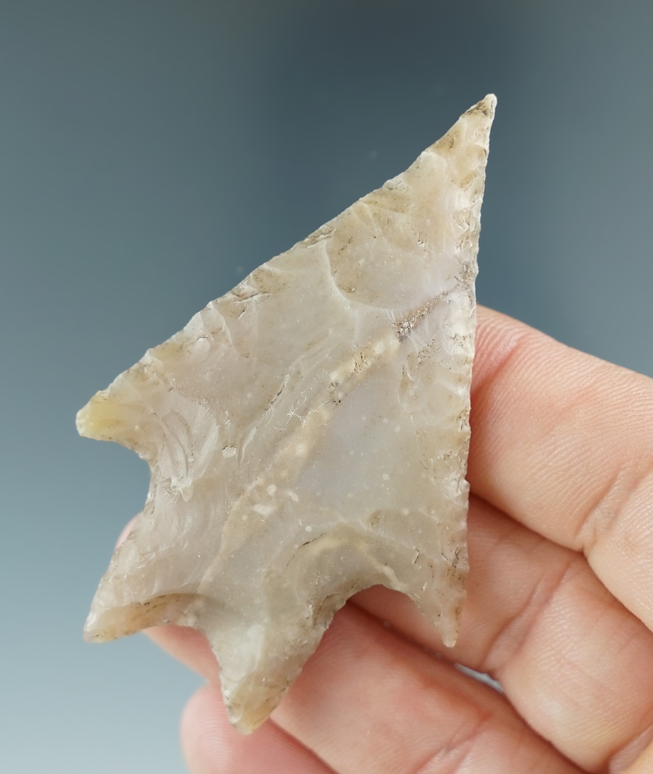 Excellent style and needle tip on this 2 5/8" Pedernales found in Texas.