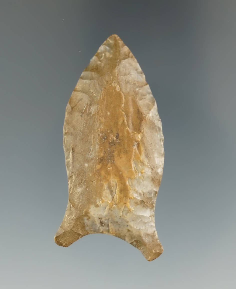 2" Beaver Lake found in Overton Co., Tennessee by Clyde Ridwahn.  Perino COA.