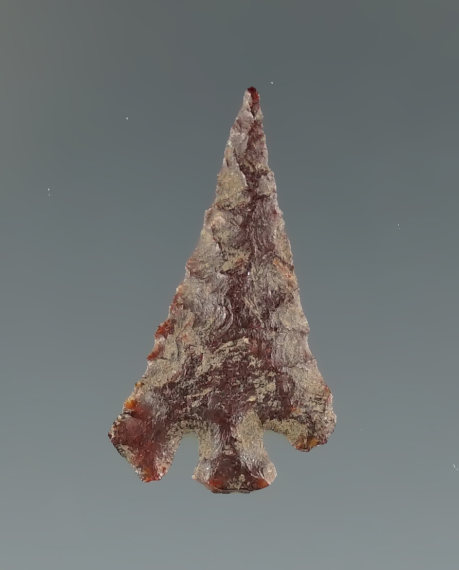 7/8" Eastgate found near the Columbia River, Oregon.  Ex. Jim Hogue collection.