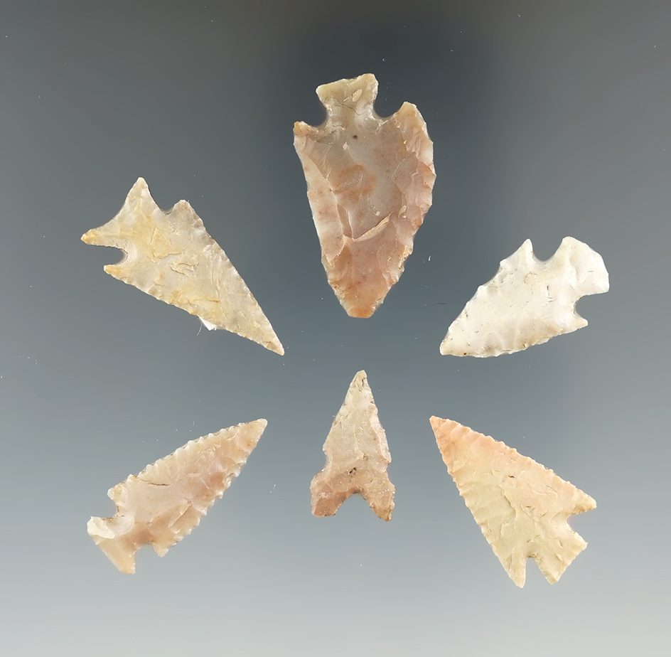 Set of six Texas bird points, largest is 1 3/16".