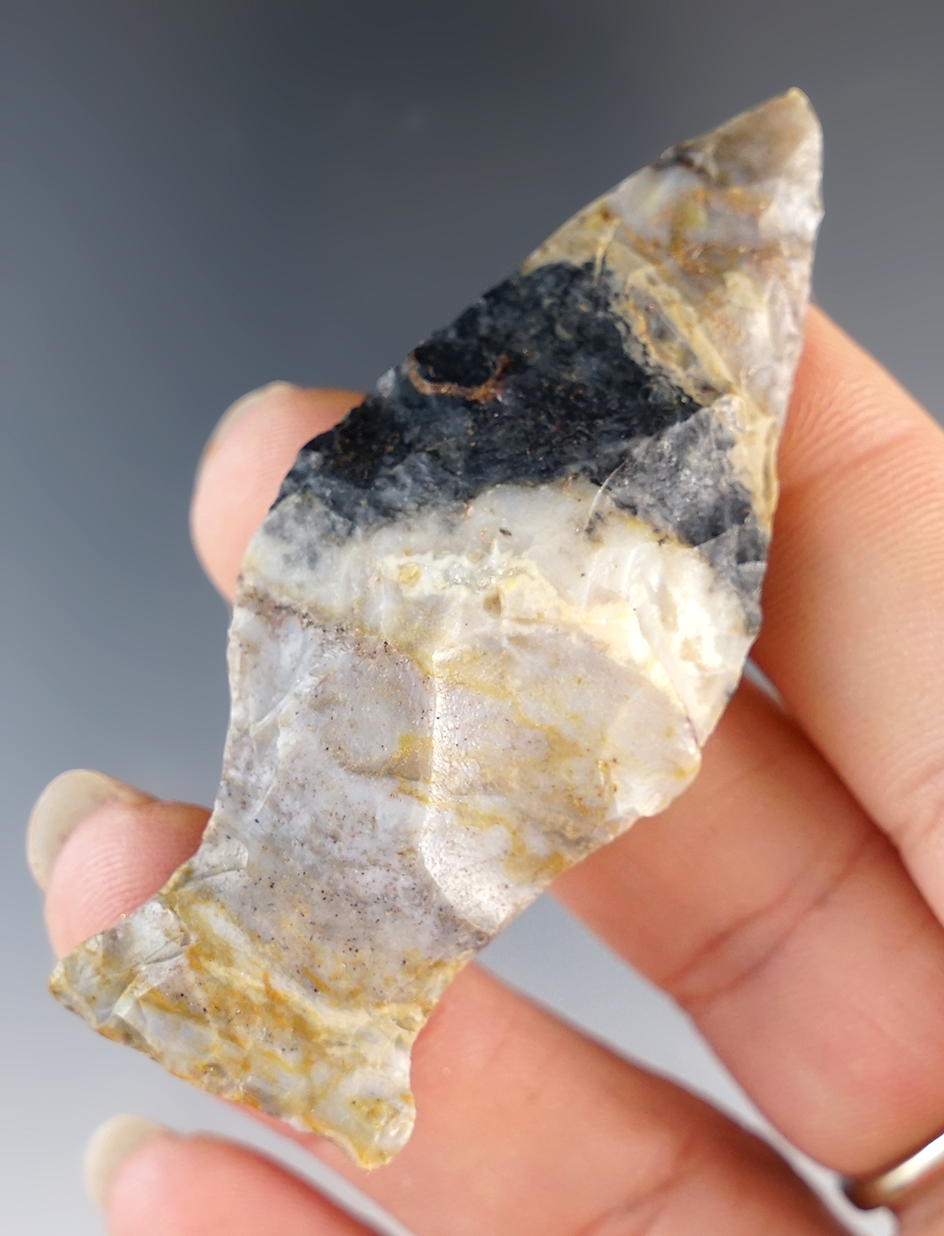 2 5/8" Ohio Ashtabula Point in excellent condition.