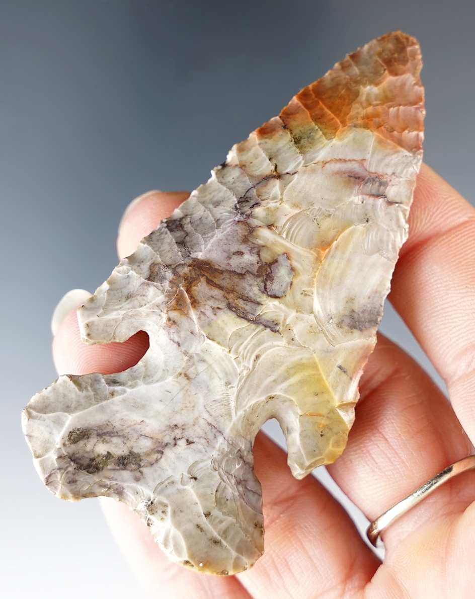 3 3/16" Beveled Thebes Point, Flint Ridge Flint. Ohio.