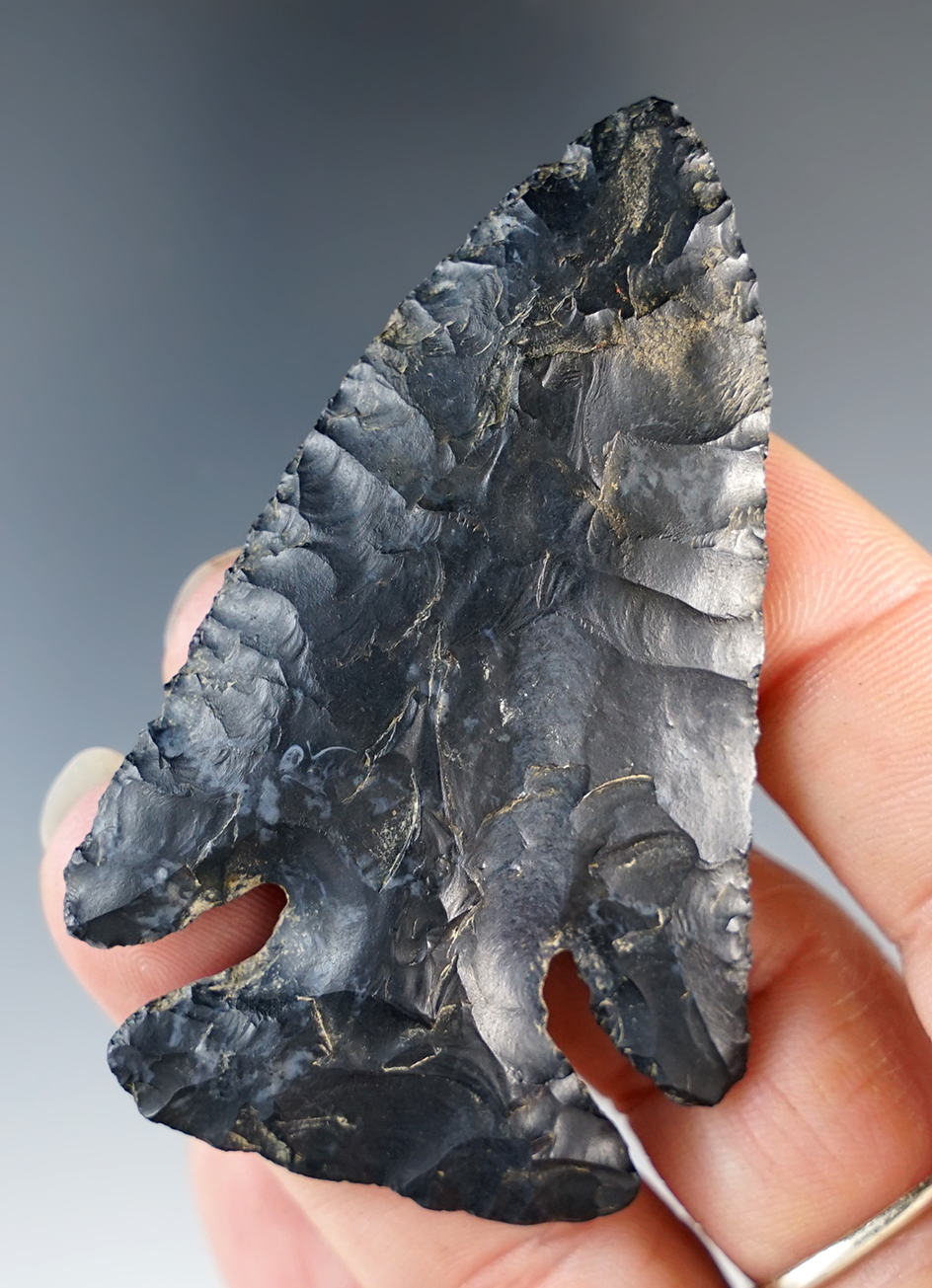 2 11/16" Thebes found in Knox Co., Ohio, Coshocton Flint.