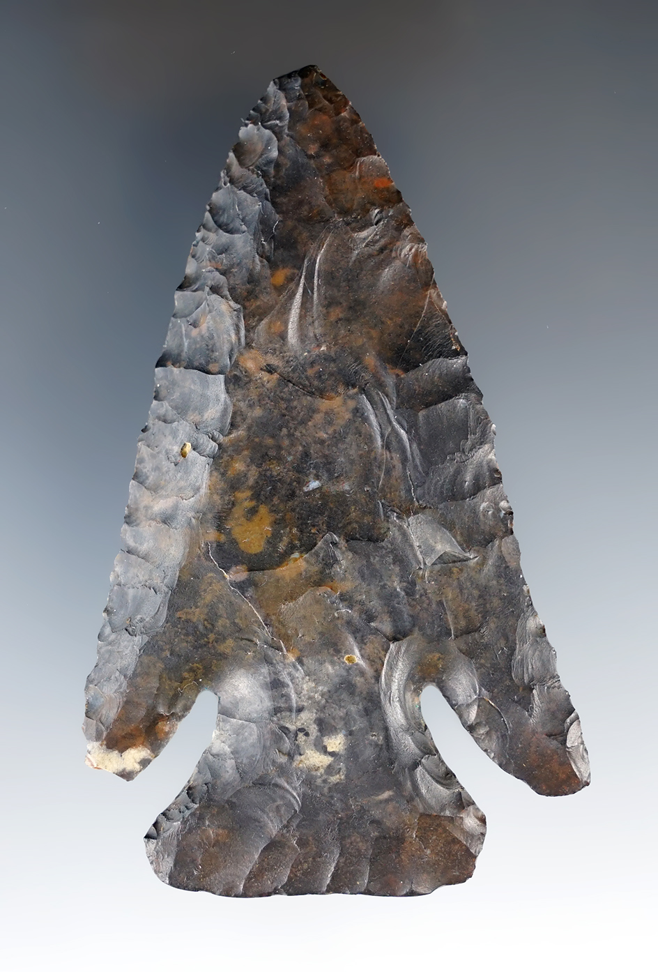 3 1/2" Archaic "Dog Leg" Bevel Coshocton Flint.