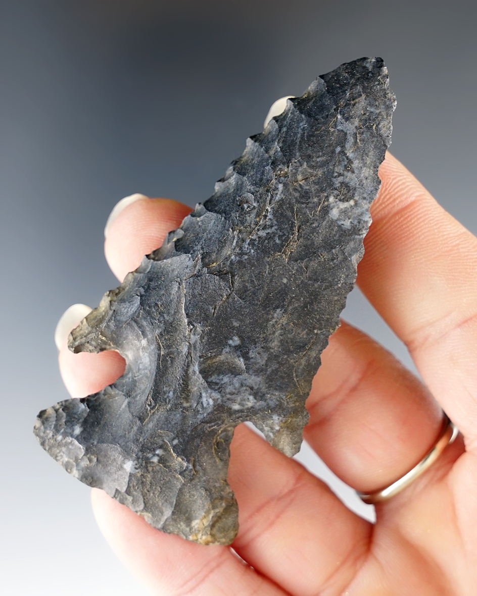 3" Archaic Thebes Deepnotch Bevel. Ohio. Coshocton Flint.