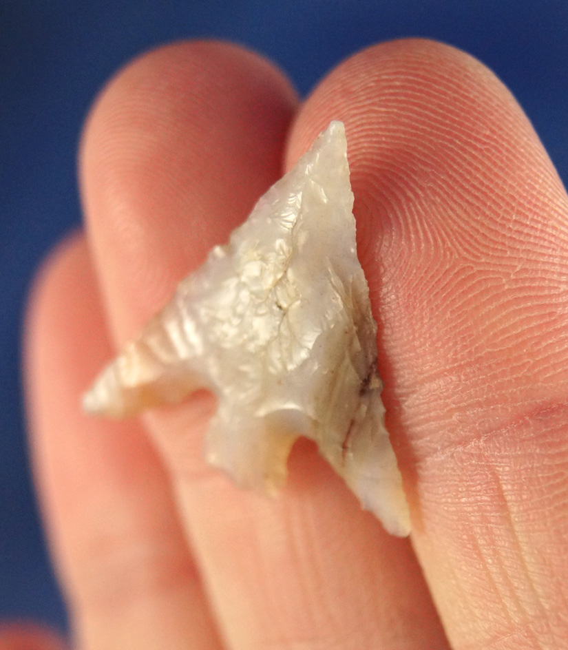 7/8" Columbia Plateau that is exceptional in all respects. Excellent semi translucent Agate