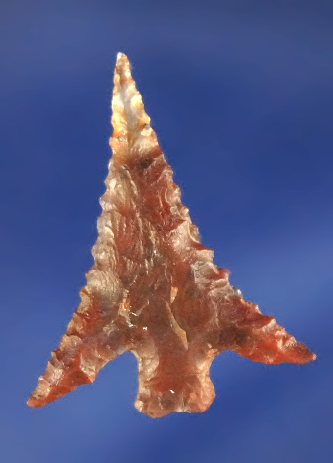 1" Columbia Plateau made from clear and red Agate with nice long swept wings