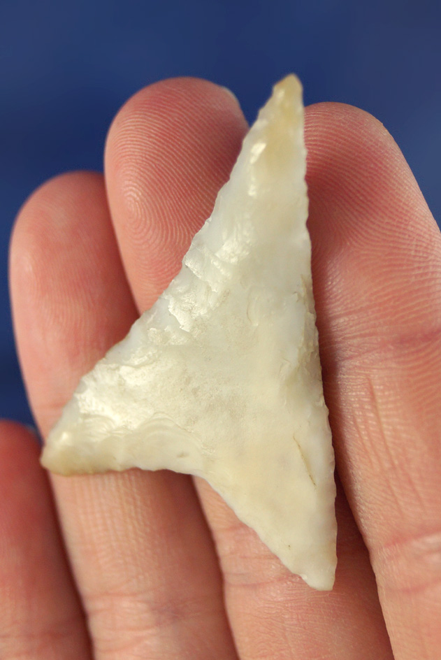 1 3/4" Columbia Mule Ear made from nicely patinated white Chalcedony Found in Oregon