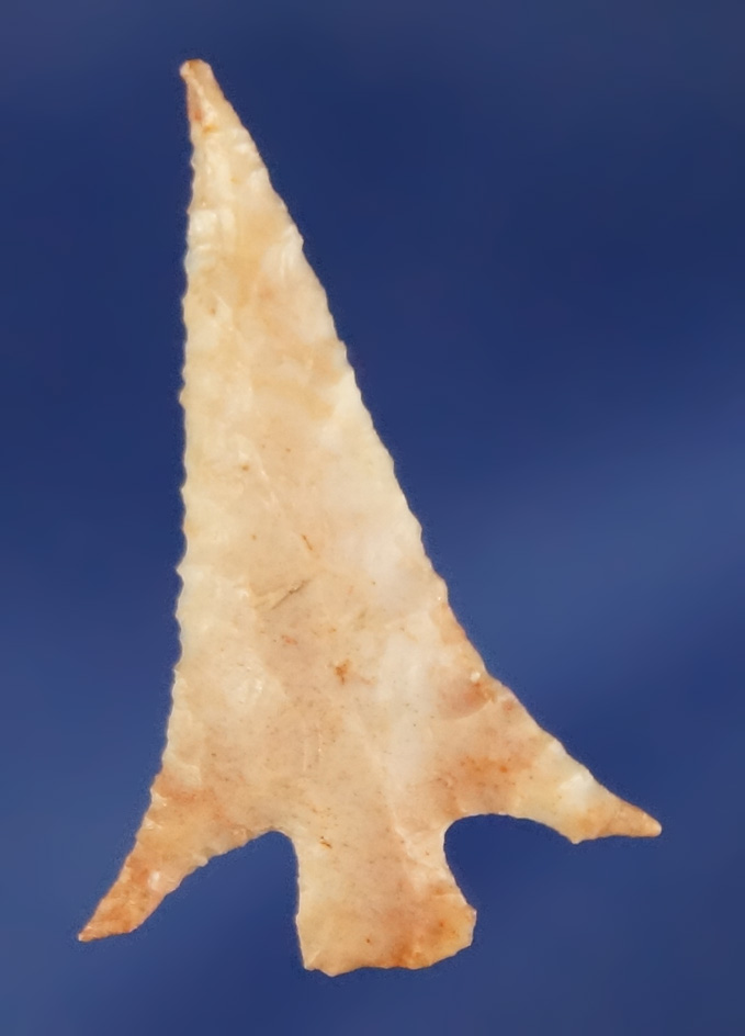 1 1/16" Rose Springs Cornernotch with incredible swept wings - Oregon. Ex. Ray Snider.