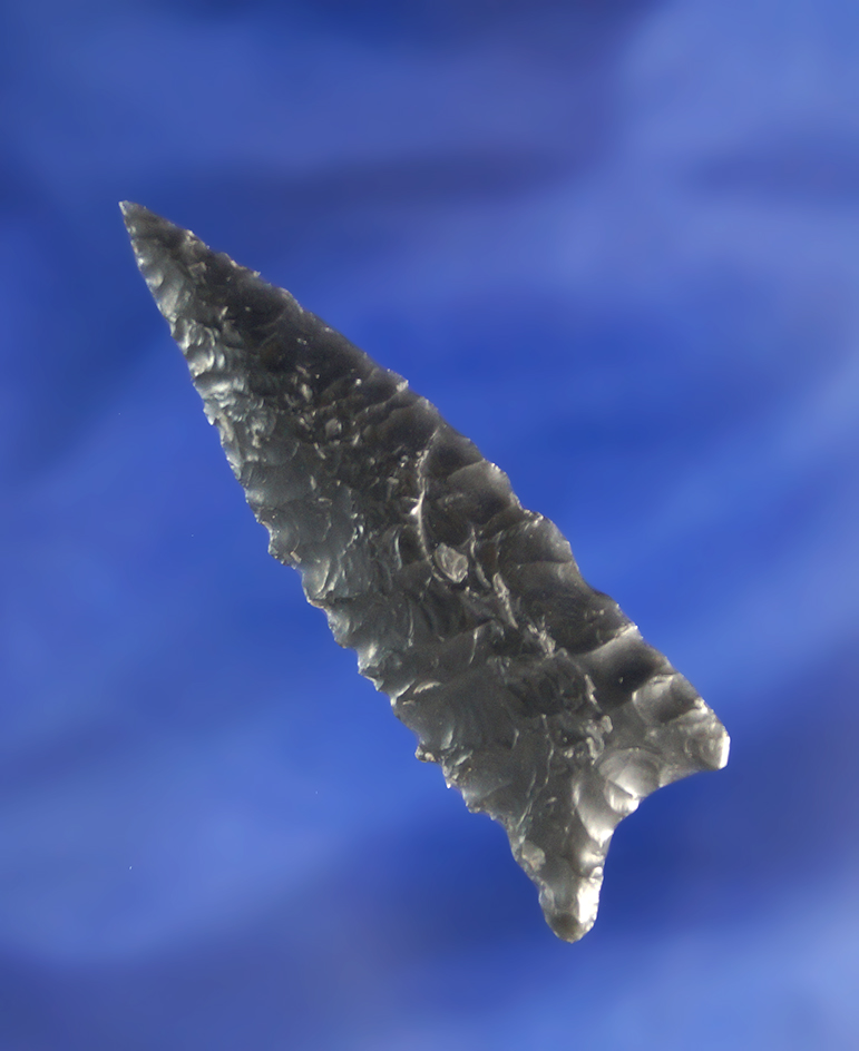 2 1/2" Buchanan Eared that is nicely flaked from obsidian found near Fort Rock Oregon.