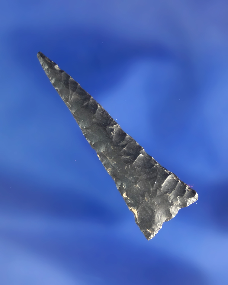 Excellent flaking on this 1 9/16" triangular arrowhead found in the southwestern U.S..