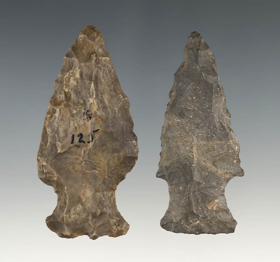Two Hopewell Points made from Coshocton Flint, largest is 2 1/2". Found in Wayne Co., Ohio.
