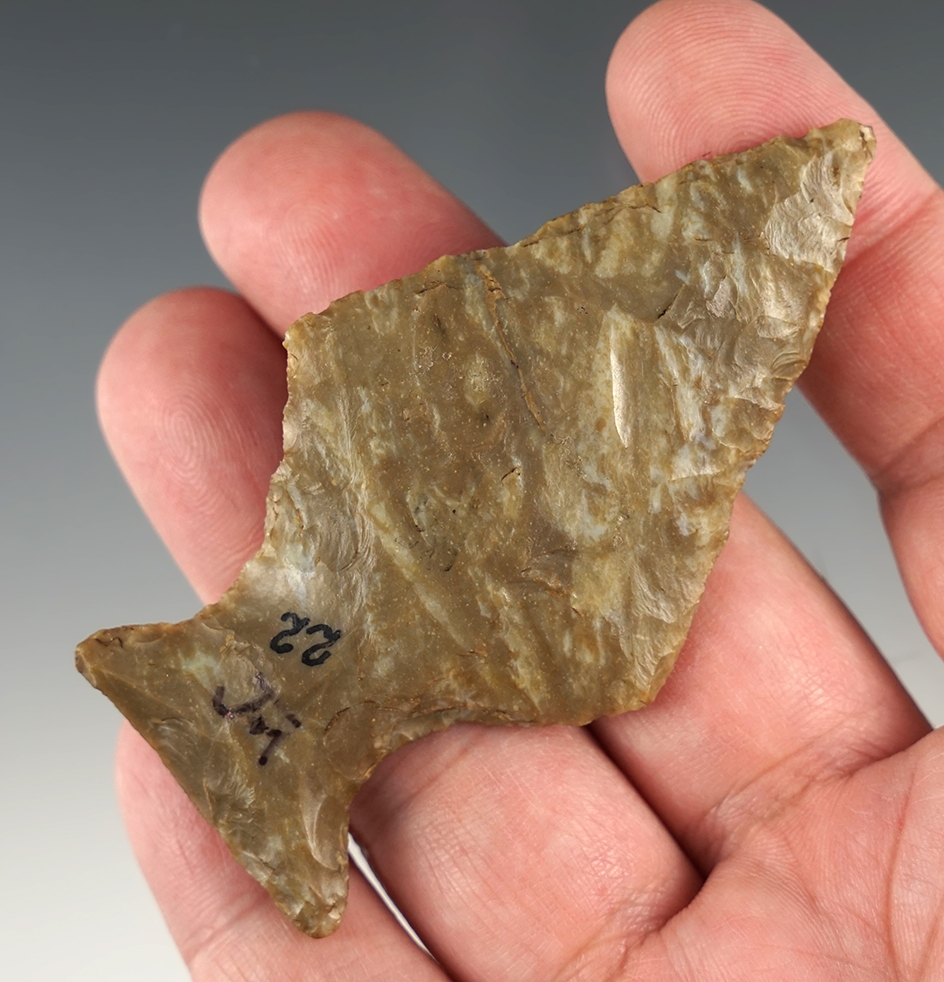 Pictured! 3 1/8" Ashtabula from the old Elmer Grimm Collection. Lorain Co., Ohio.