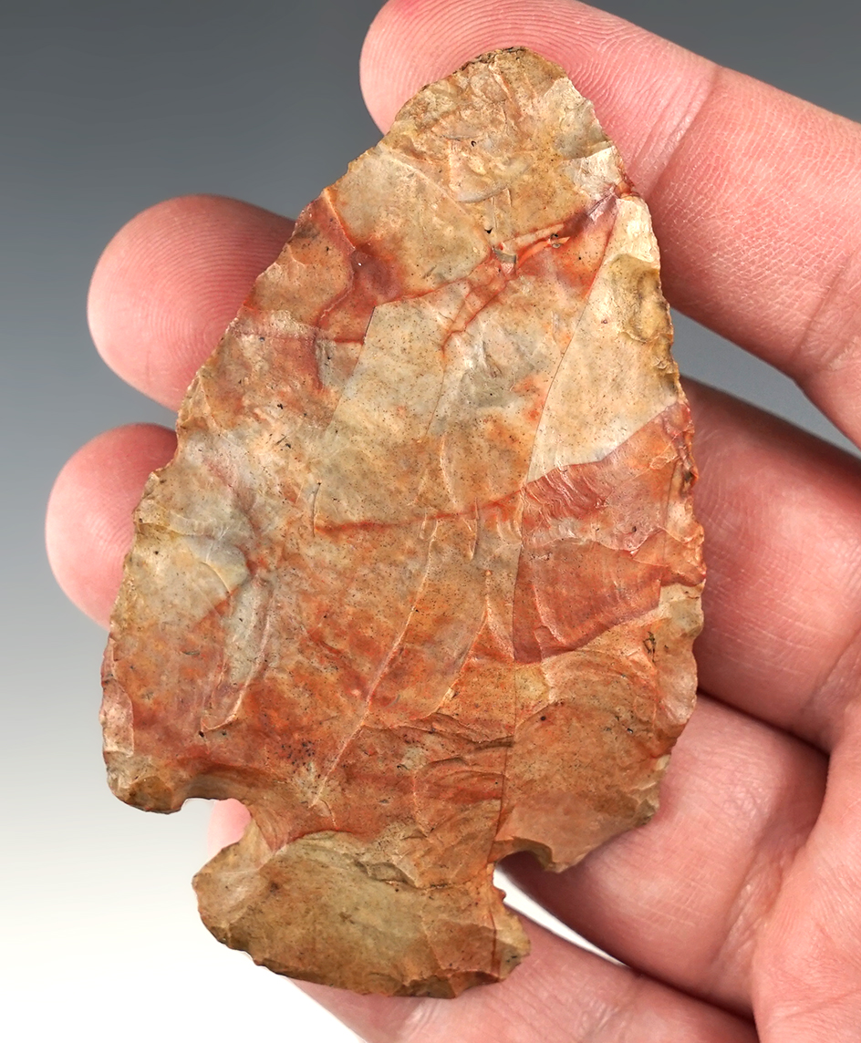 Amazing color on this 3 3/16" Dovetail found in Highland Co., Ohio.